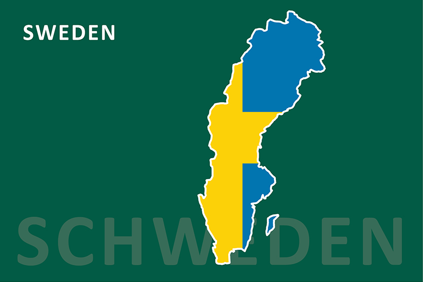 Schweden Karte und Flagge